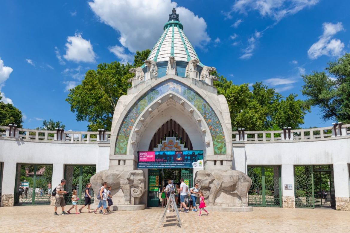 Változatos programokkal várja a budapesti állatkert a látogatókat pénteken