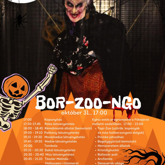 Különleges Halloween élmény a Budakeszi Vadasparkban!