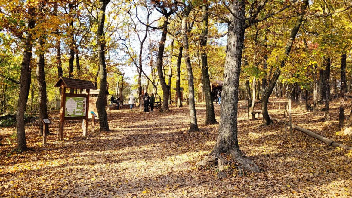 Tökéletes őszi családi program a Budakeszi Vadaspark!